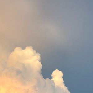 Meet your Posher, Evelina